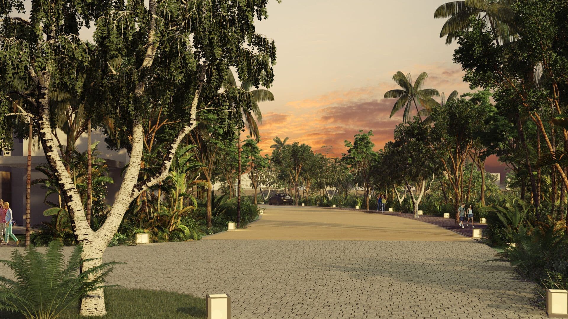 04 Vialidad ppl scaled