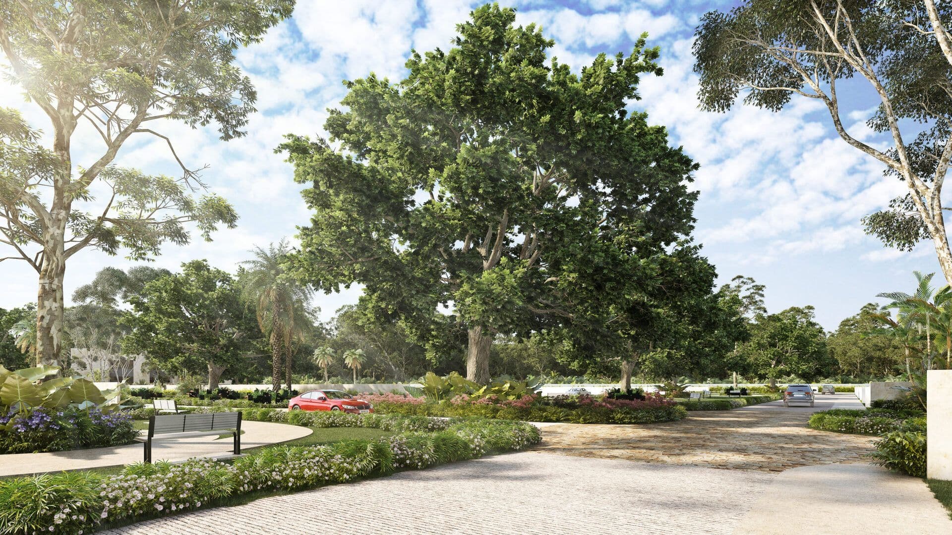 10 CAMPOMAGNO VIALIDAD 02 scaled