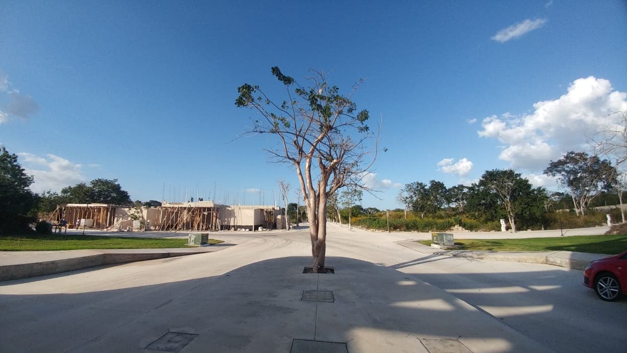 13 casas en construcción