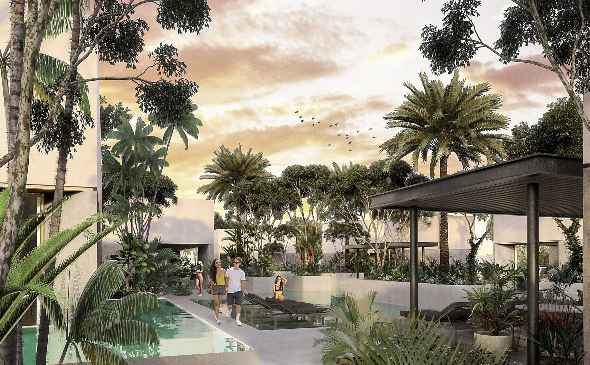 2 29 enero SP PP 1 scaled