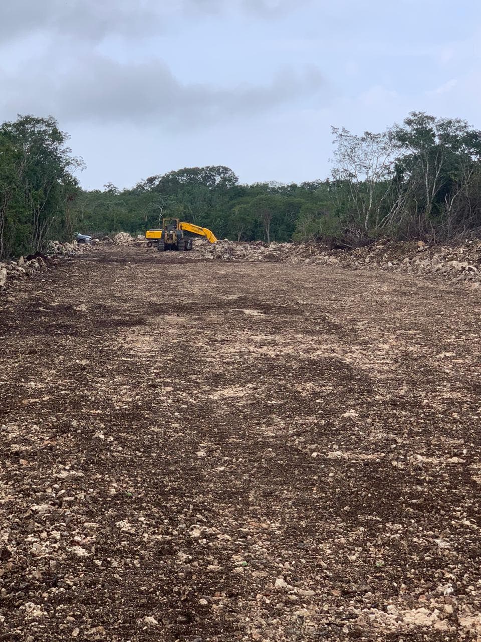 WhatsApp Image 2020 12 09 at 10.50.11