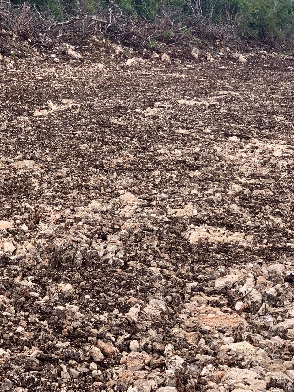 WhatsApp Image 2020 12 09 at 10.50.12 1