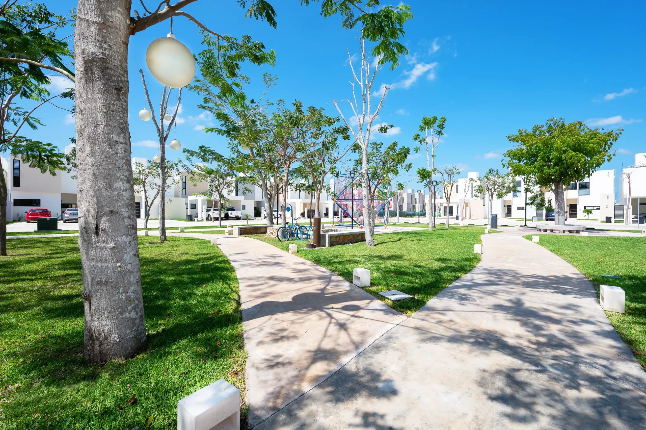 zensia amenidades scaled