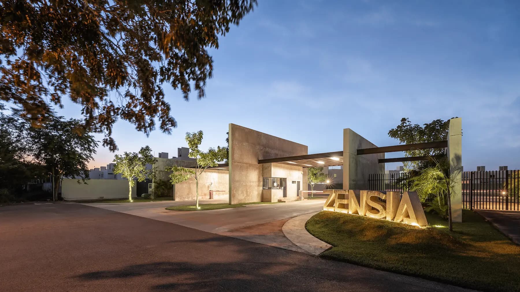 zensia entrada noche