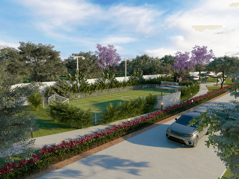 SENDUO 12Cancha w800